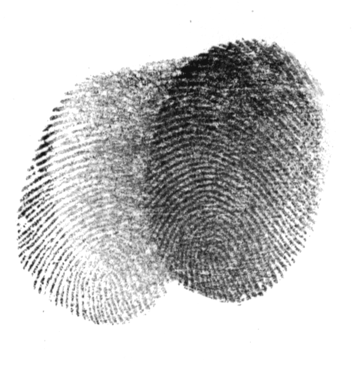 Orbit Frameworks Fingerprint